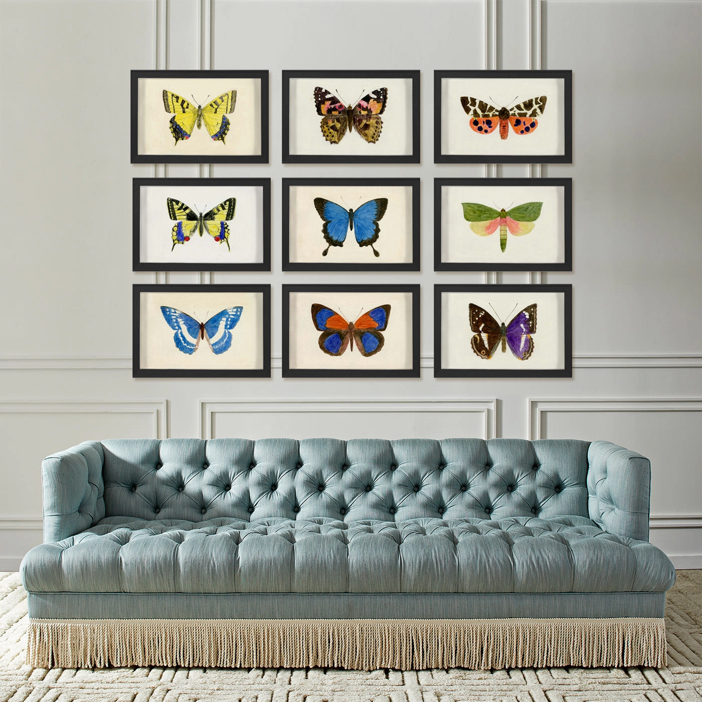Hubbard Butterfly, Small: 1010