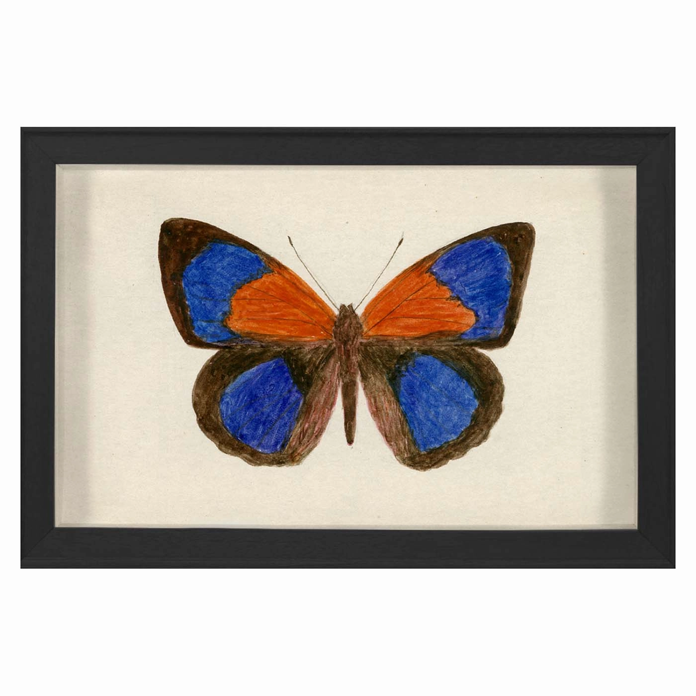 Hubbard Butterfly, Small: 137nordic style wall decor