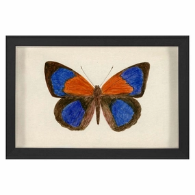 Hubbard Butterfly, Small: 137nordic style wall decor