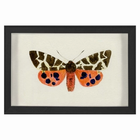 Hubbard Butterfly, Small: 1420nordic style wall decor