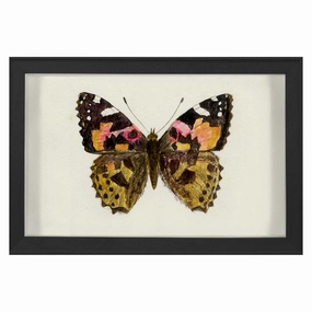 Hubbard Butterfly, Small: 1632nordic style wall decor
