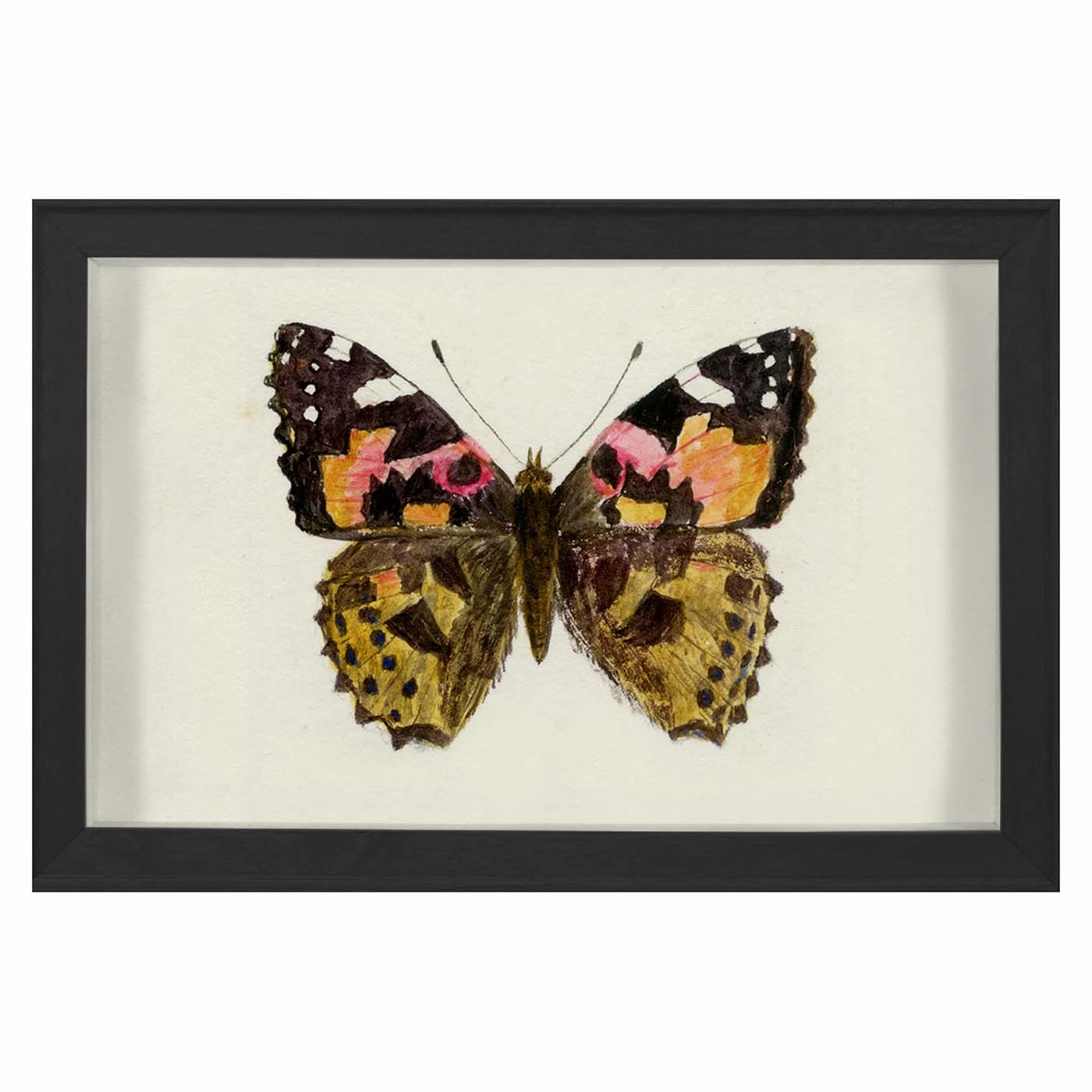 Hubbard Butterfly, Small: 1632nordic style wall decor