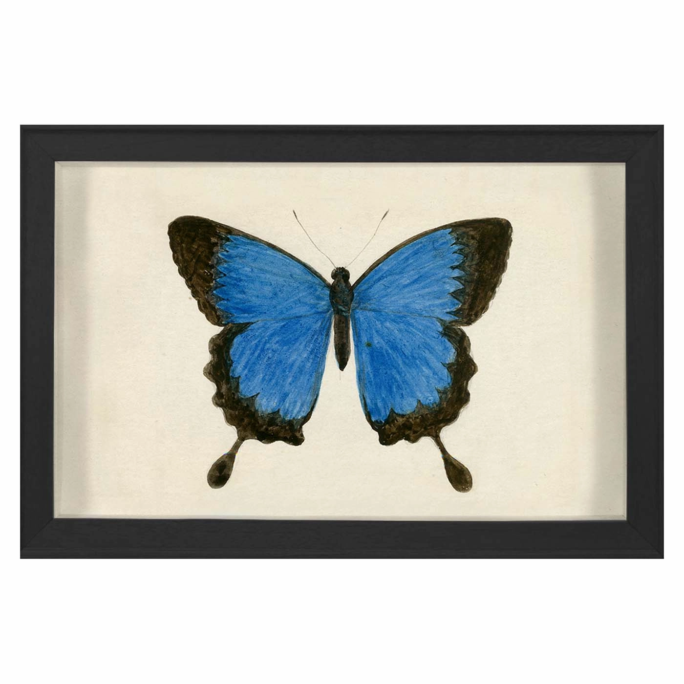 Hubbard Butterfly, Small: 181nordic style wall decor