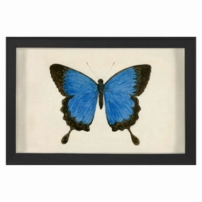 Hubbard Butterfly, Small: 181nordic style wall decor