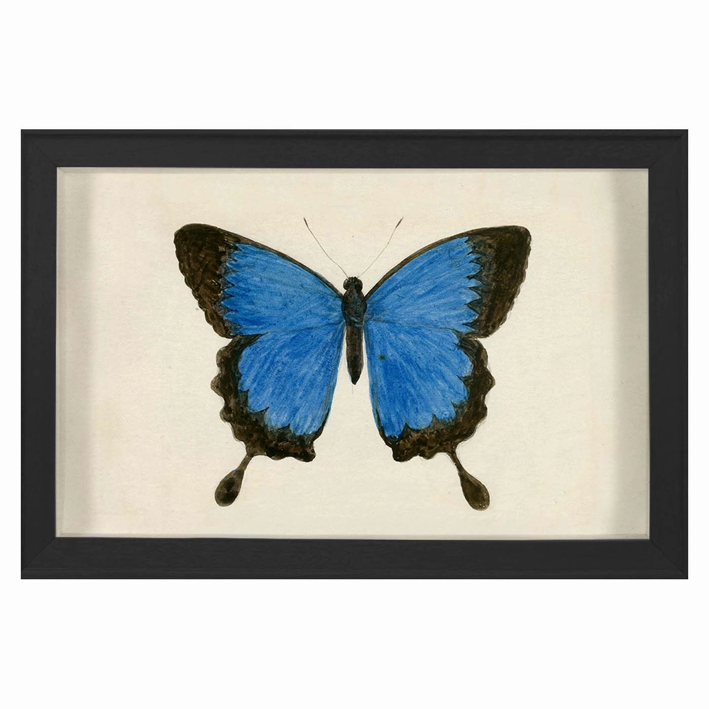 Hubbard Butterfly, Small: 181nordic style wall decor