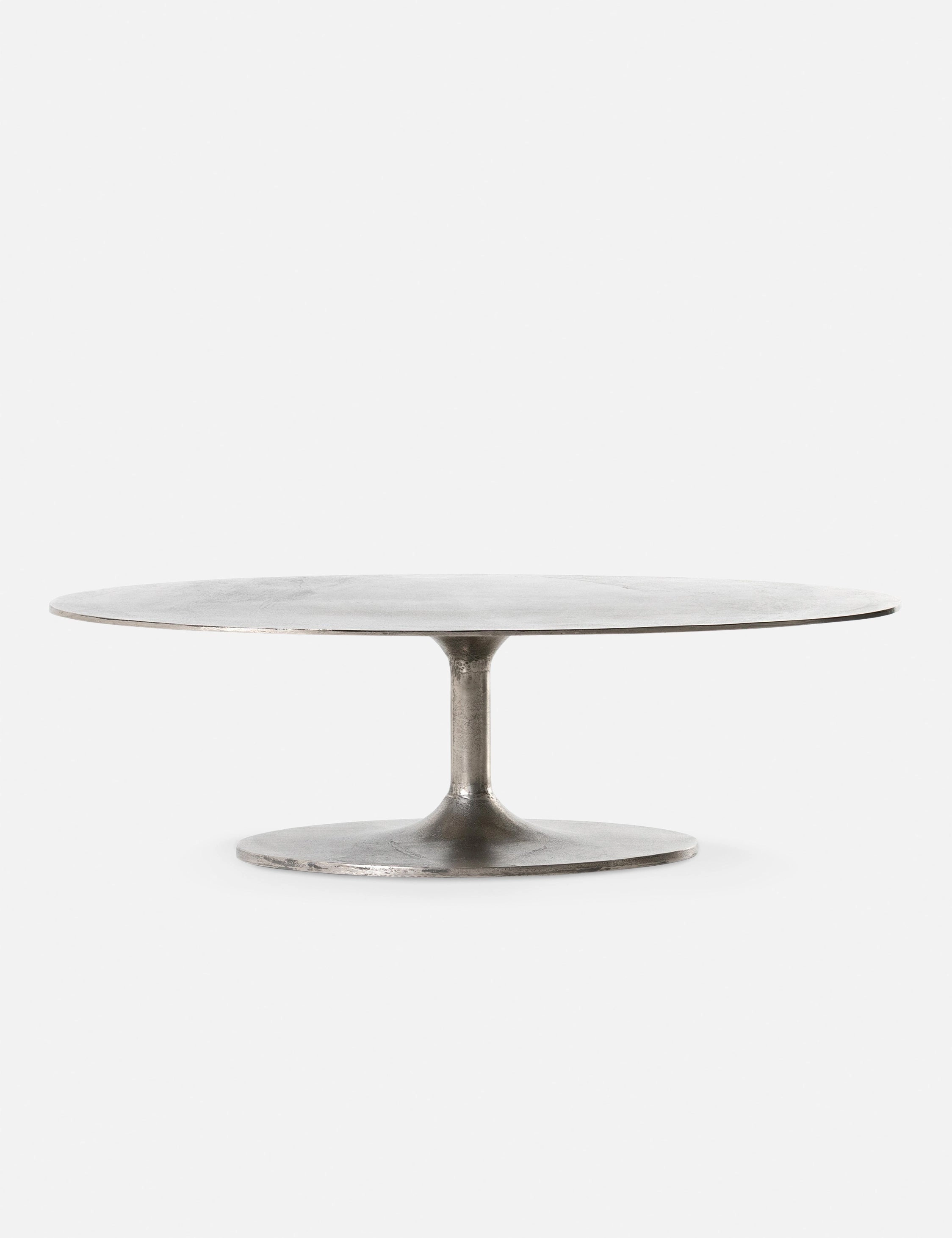 Inga Indoor / Outdoor Oval Coffee Table