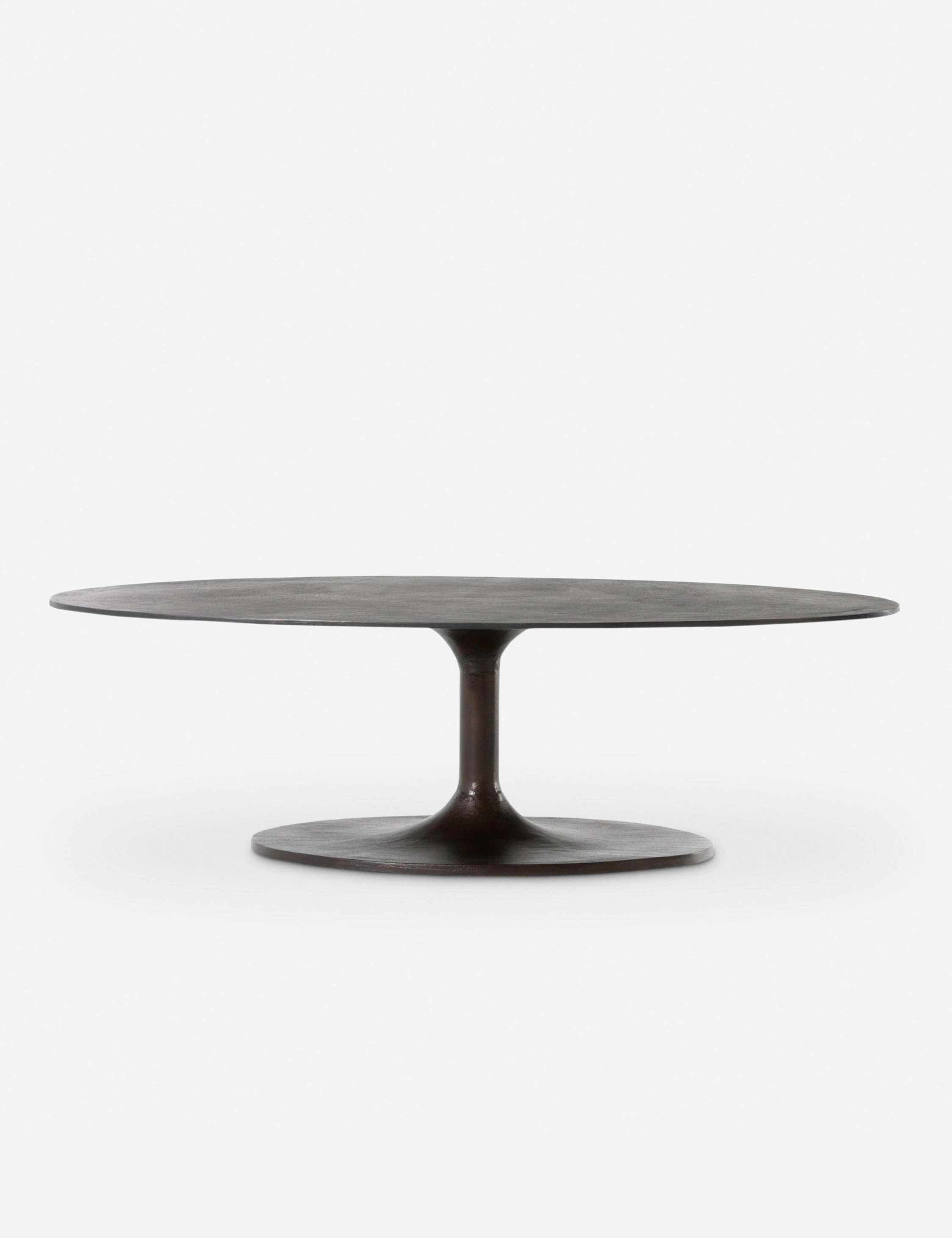 Inga Indoor / Outdoor Oval Coffee Table