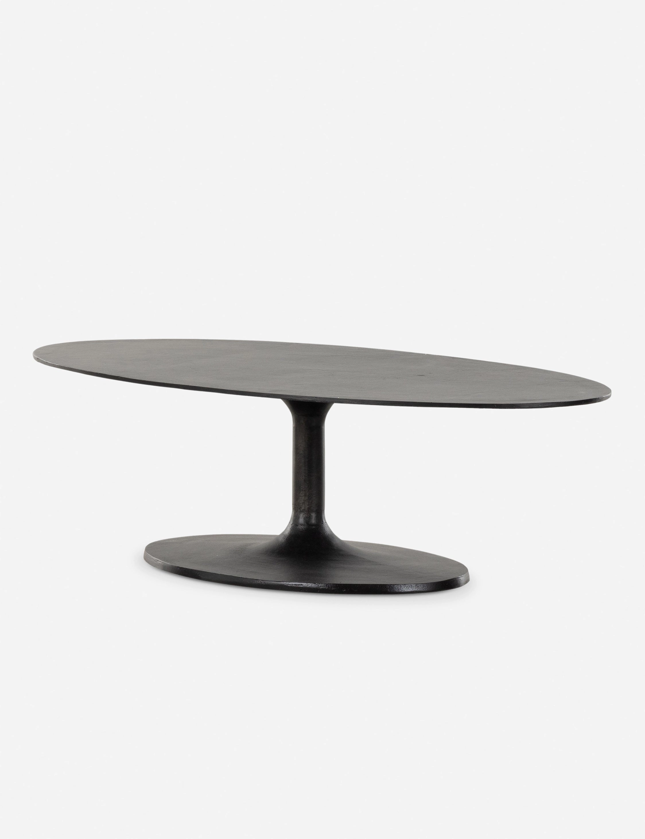 Inga Indoor / Outdoor Oval Coffee Table