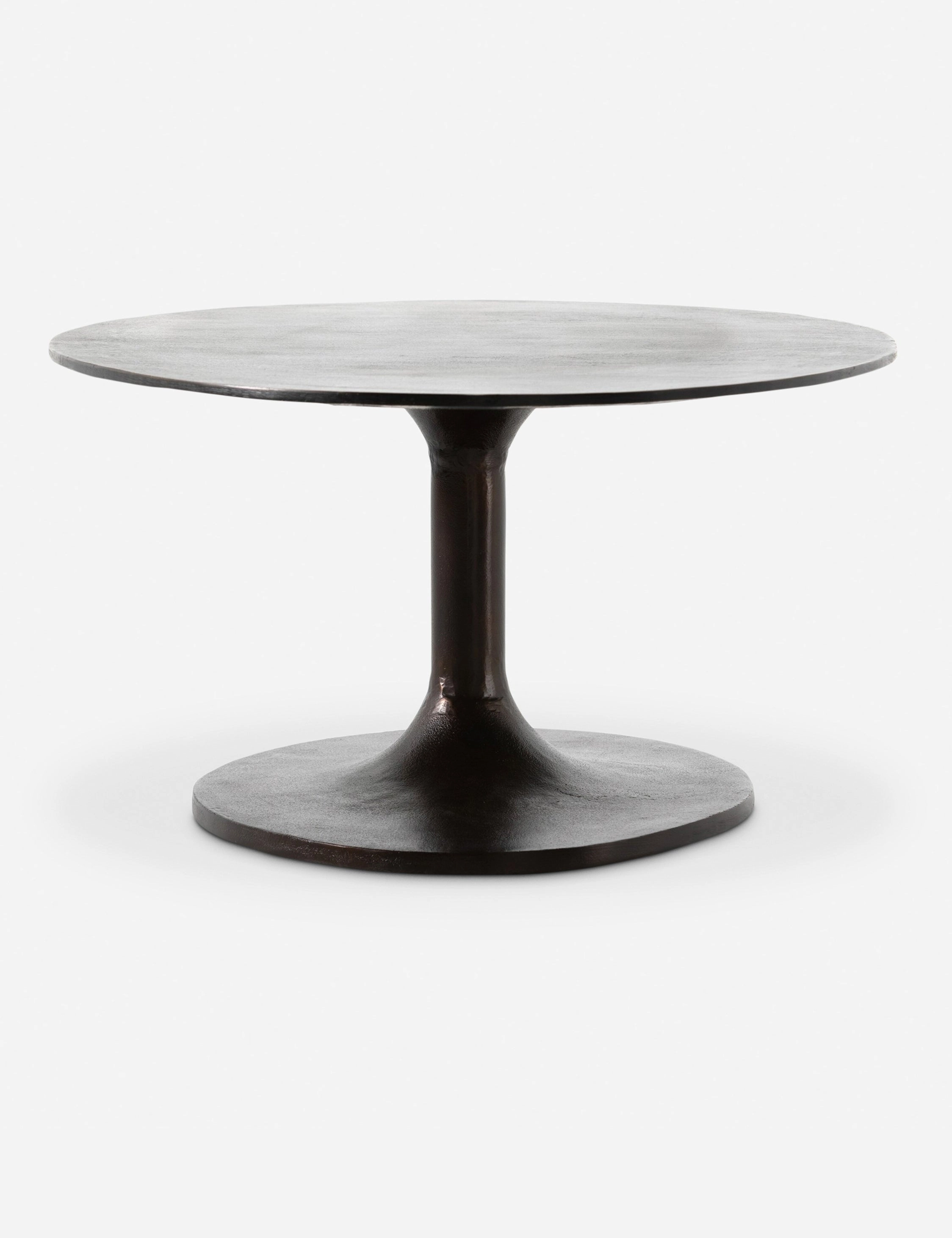 Inga Indoor / Outdoor Oval Coffee Table