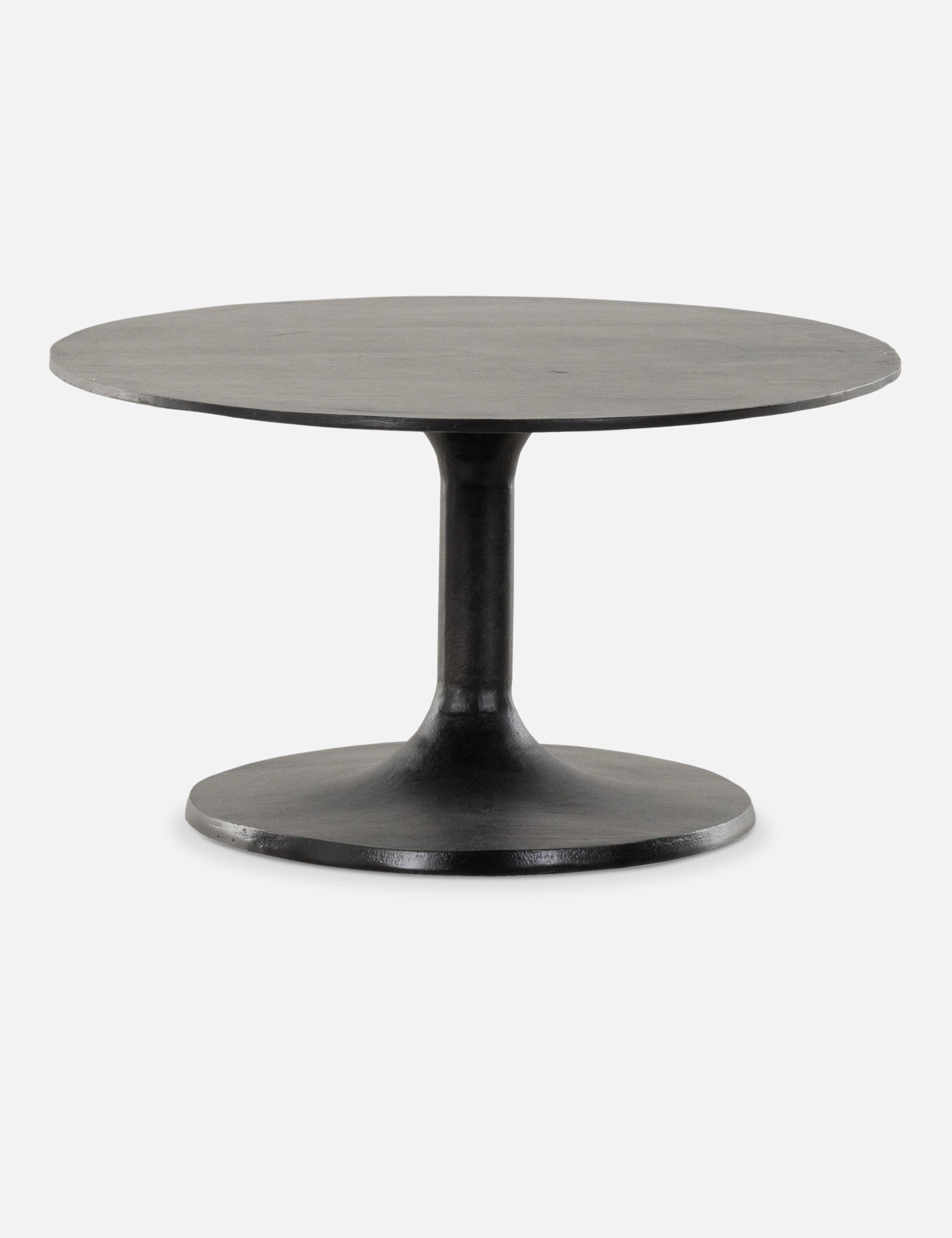 Inga Indoor / Outdoor Oval Coffee Table