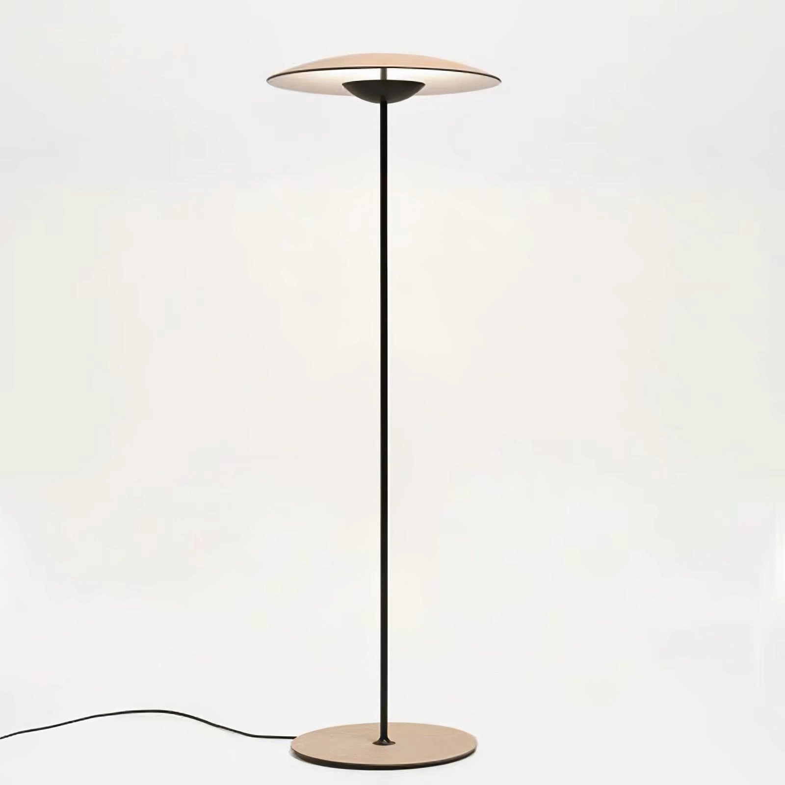 Innovative Directional Floor Lamp