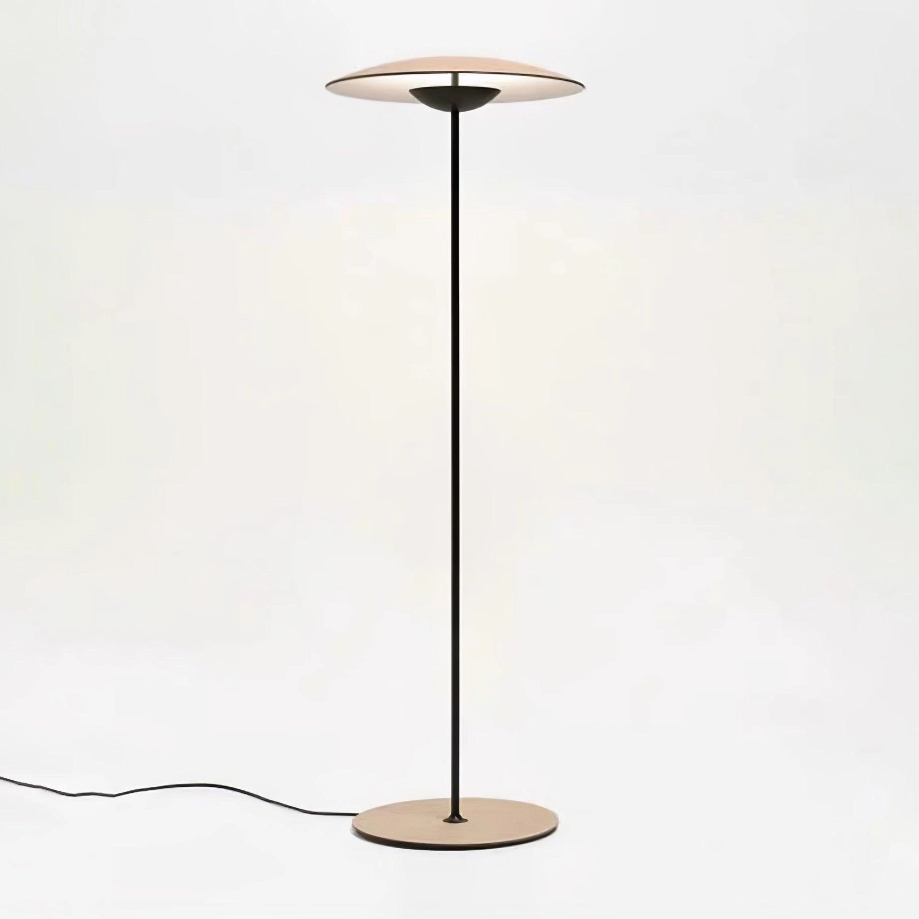 Innovative Directional Floor Lamp