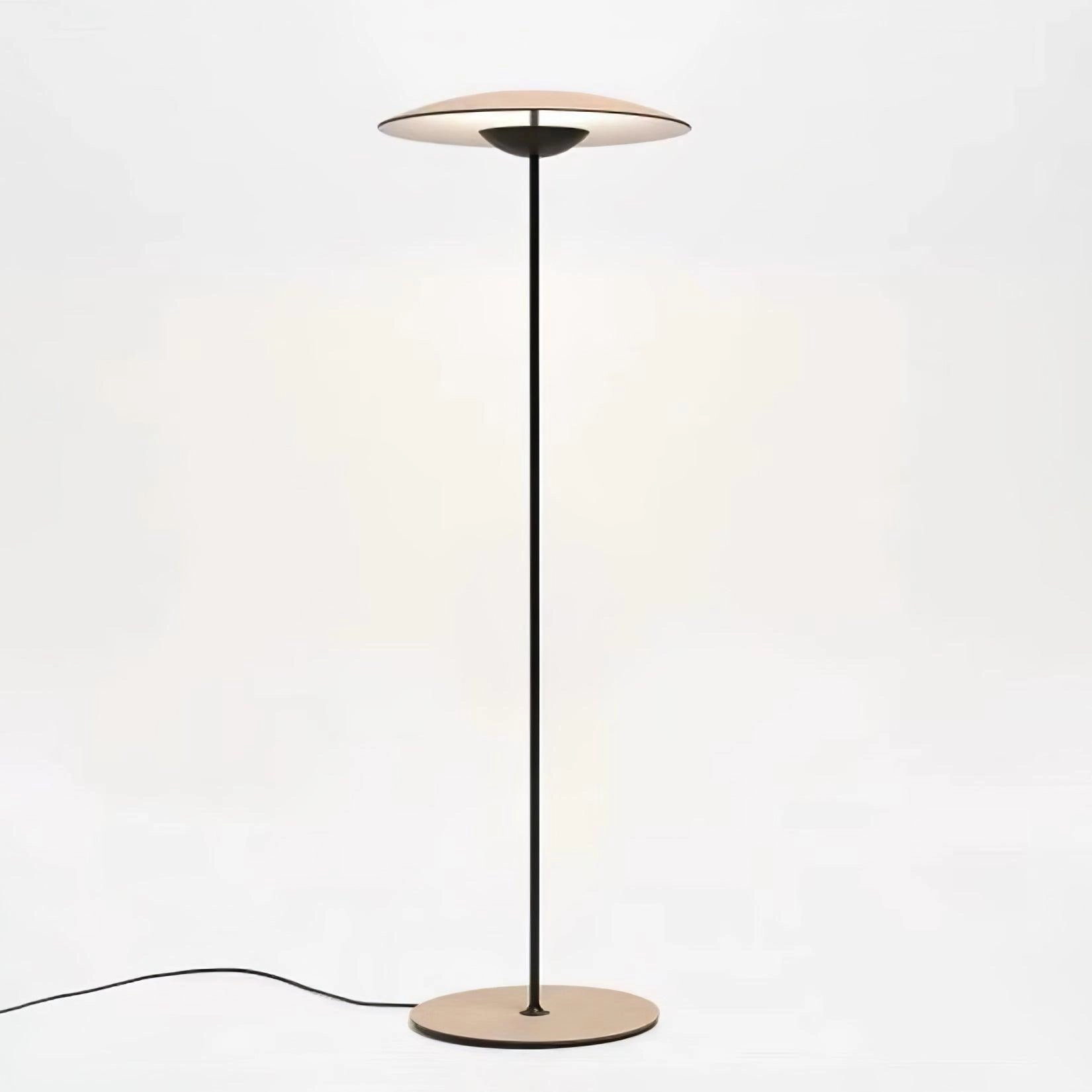 Innovative Directional Floor Lamp