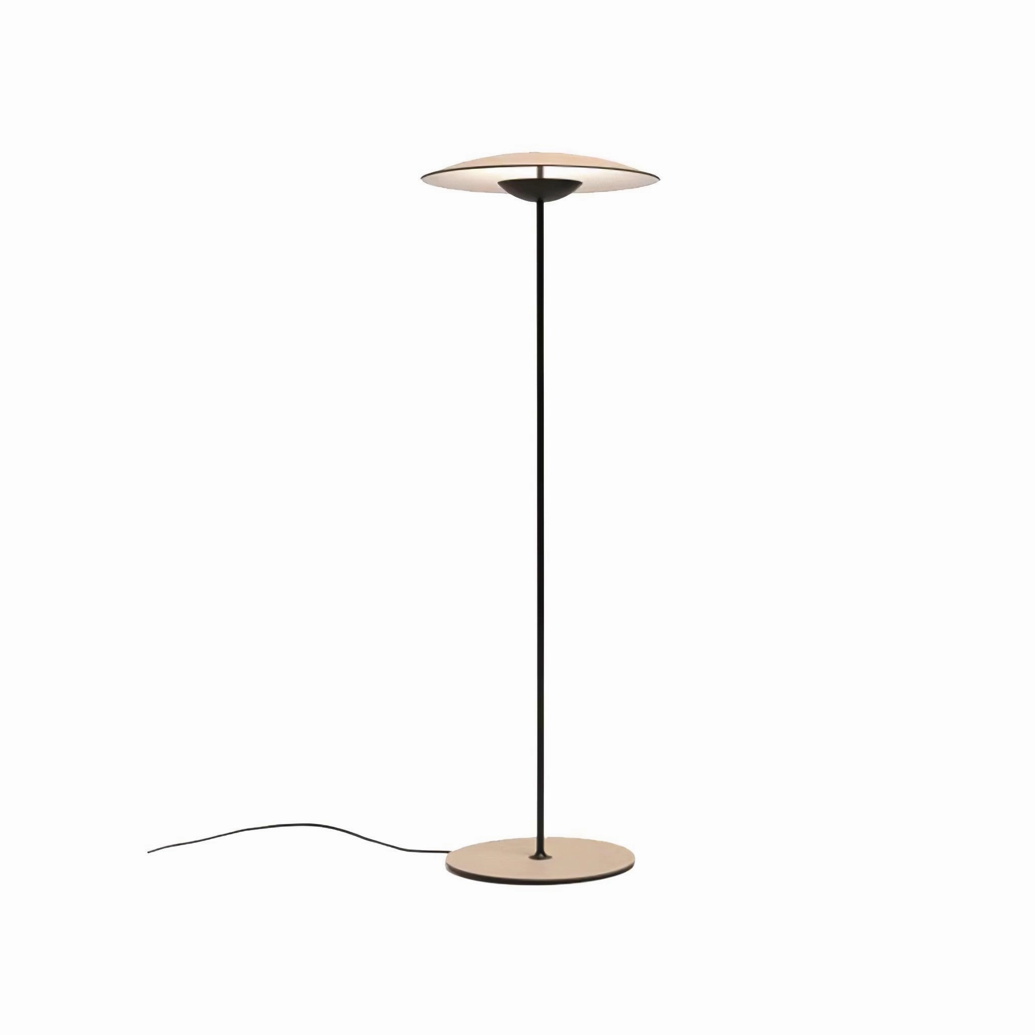 Innovative Directional Floor Lamp