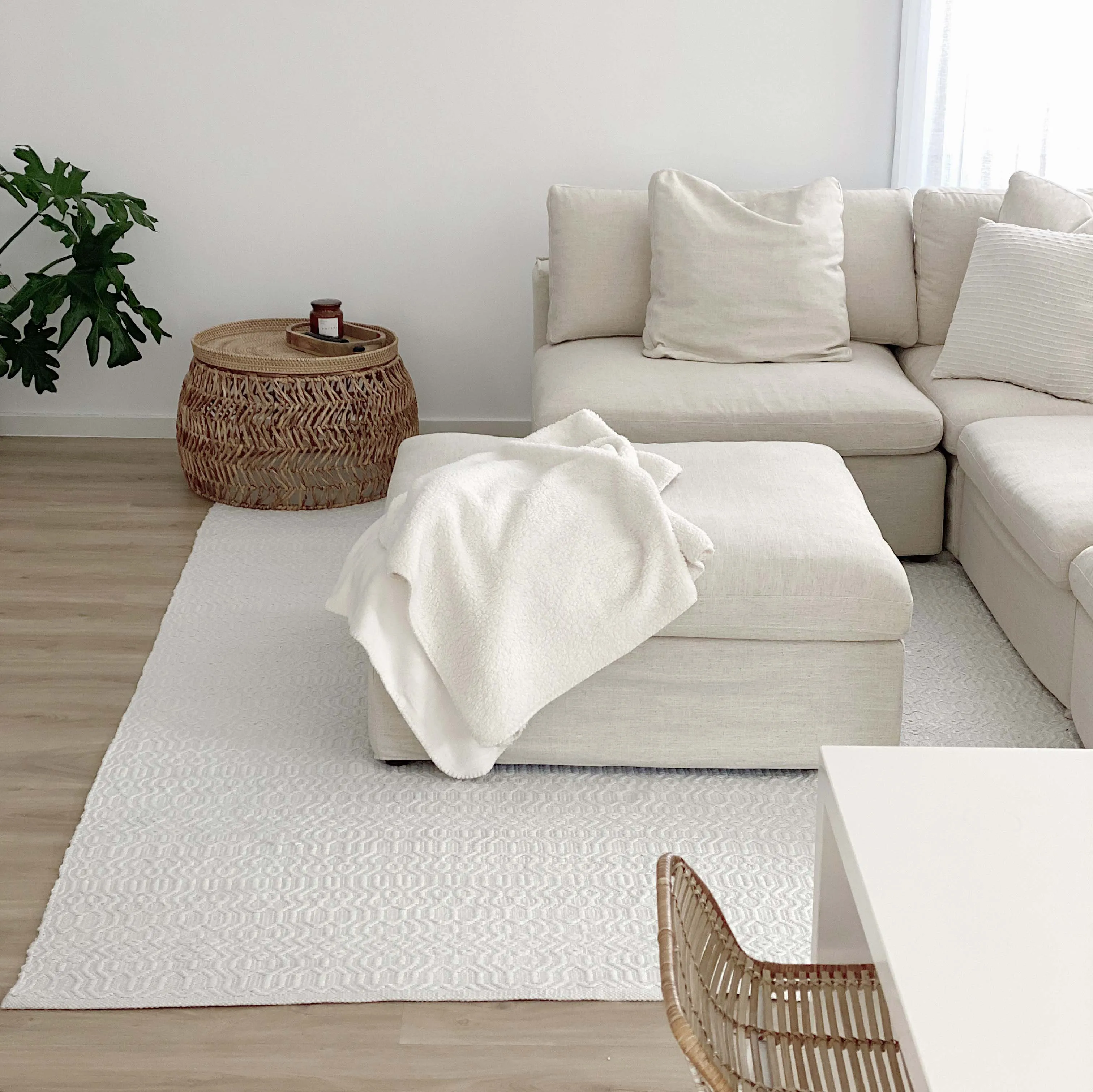 Ivy Ivory Indoor Outdoor PET Rug