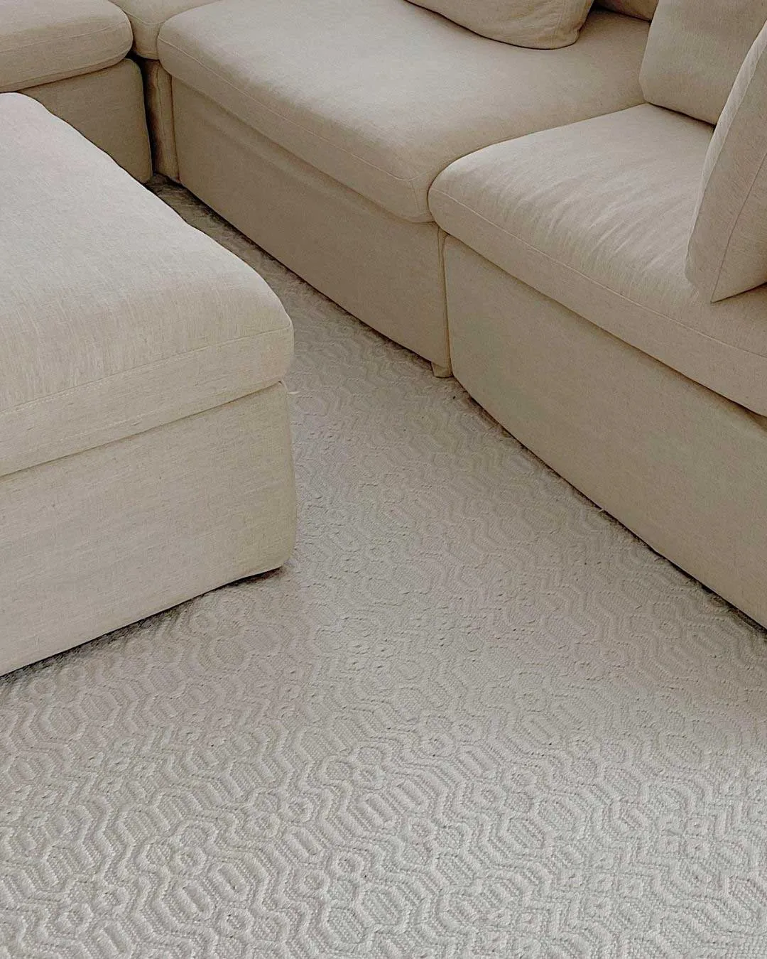Ivy Ivory Indoor Outdoor PET Rug