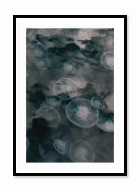Jelly, Posterpop culture themed posters