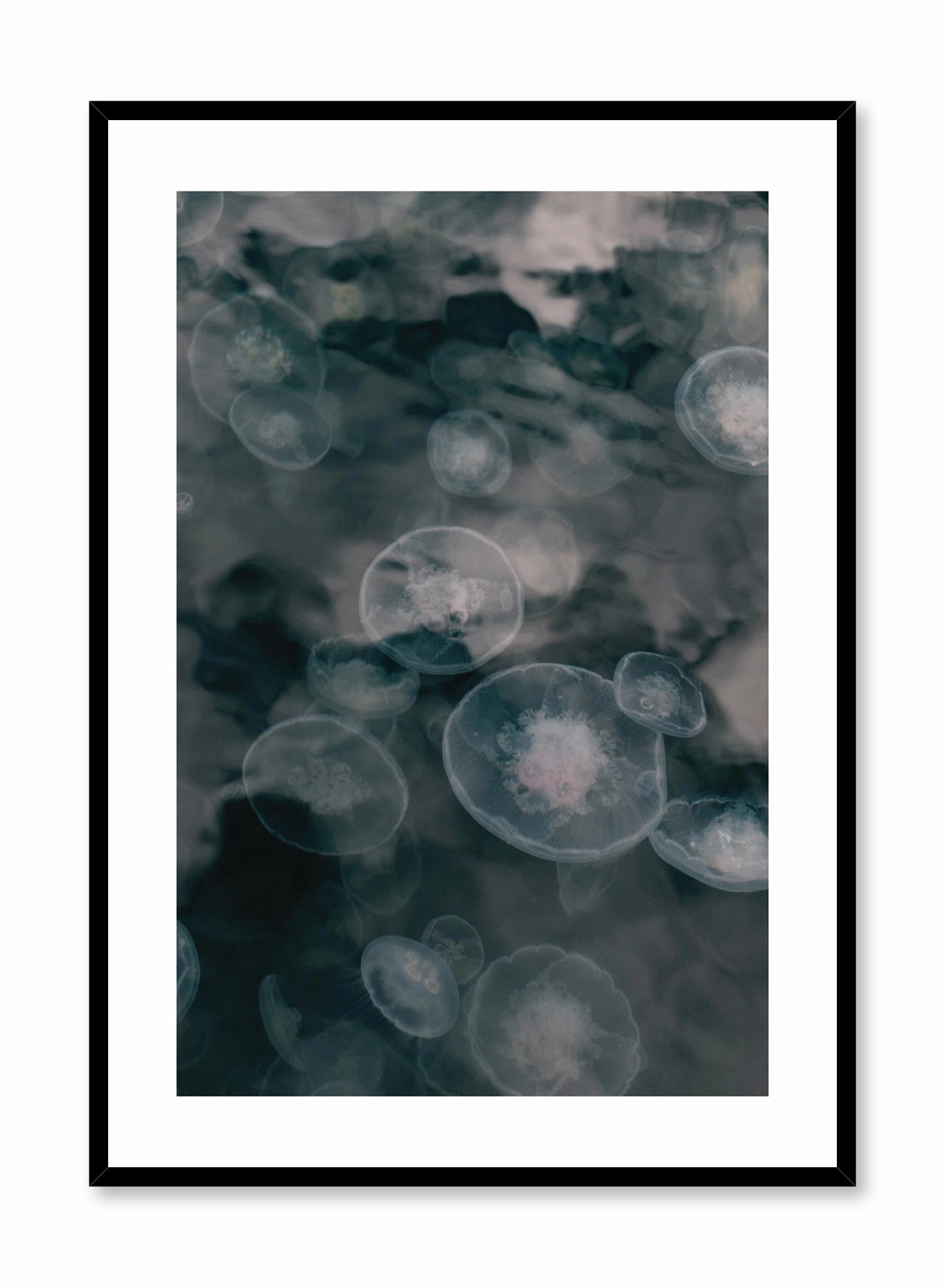 Jelly, Posterpop culture themed posters