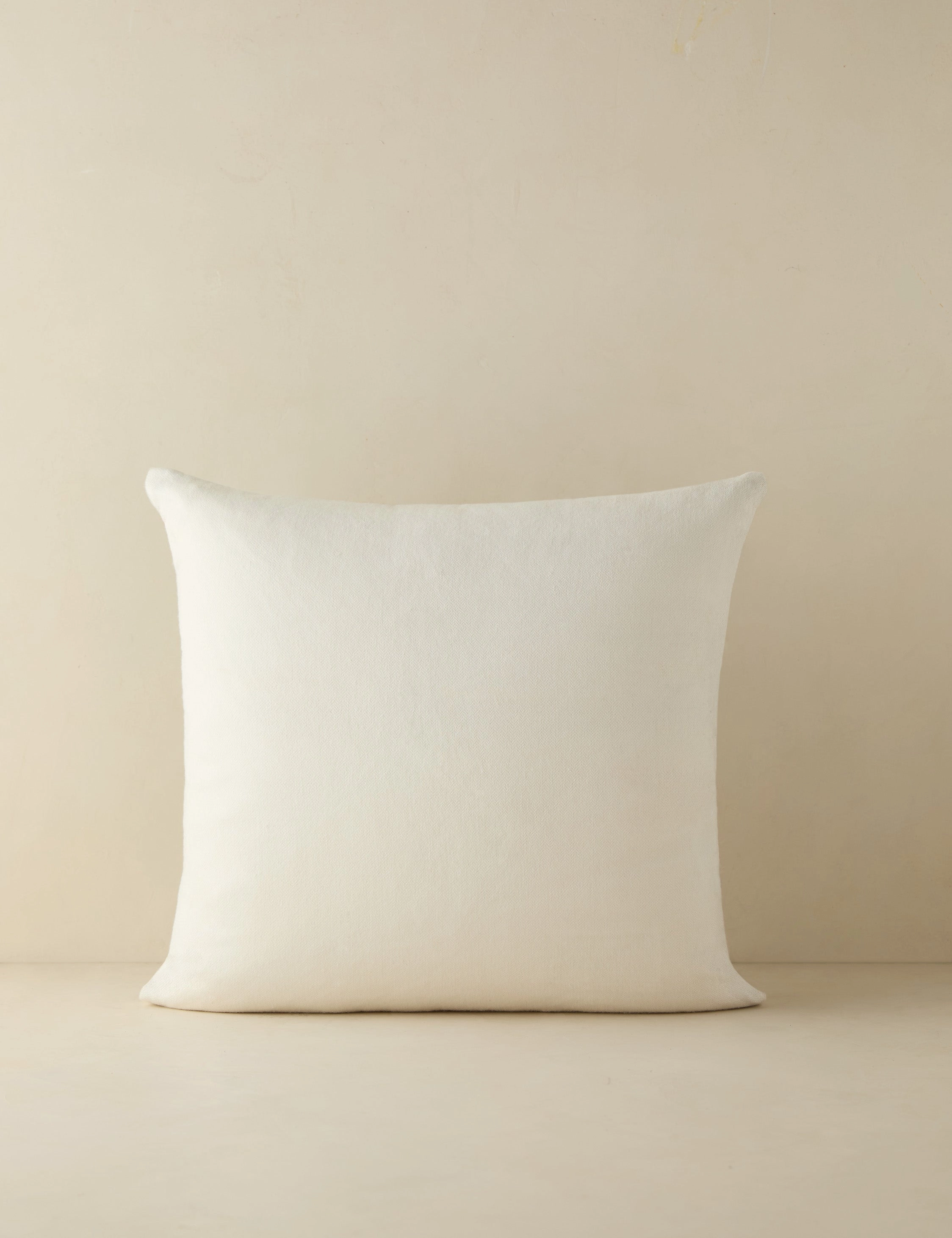 Jessa Indoor / Outdoor Pillow