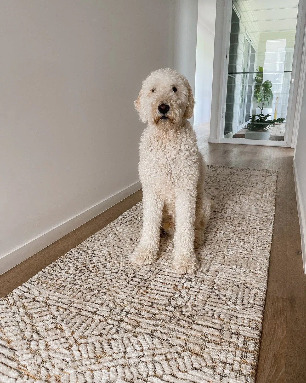 Jordan Mustard and Beige Geometric Modern Runner Rug