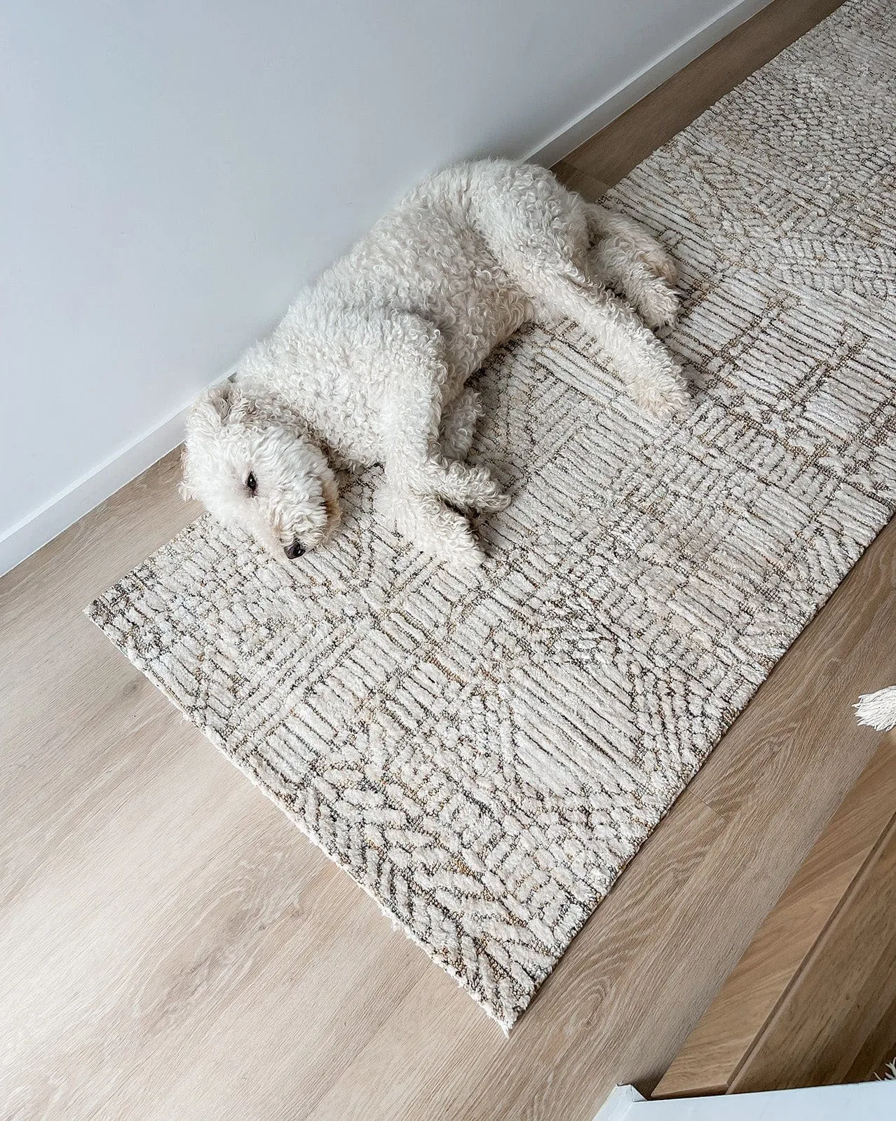 Jordan Mustard and Beige Geometric Modern Runner Rug