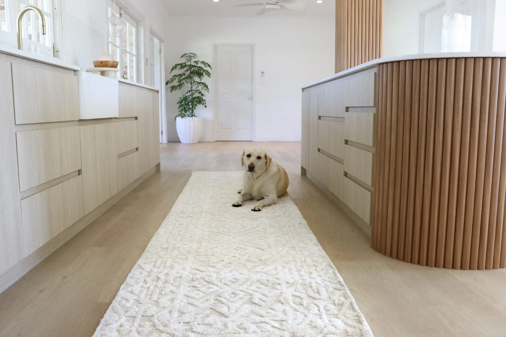Josephine Ivory and Cream Tribal Transitional Runner Rug