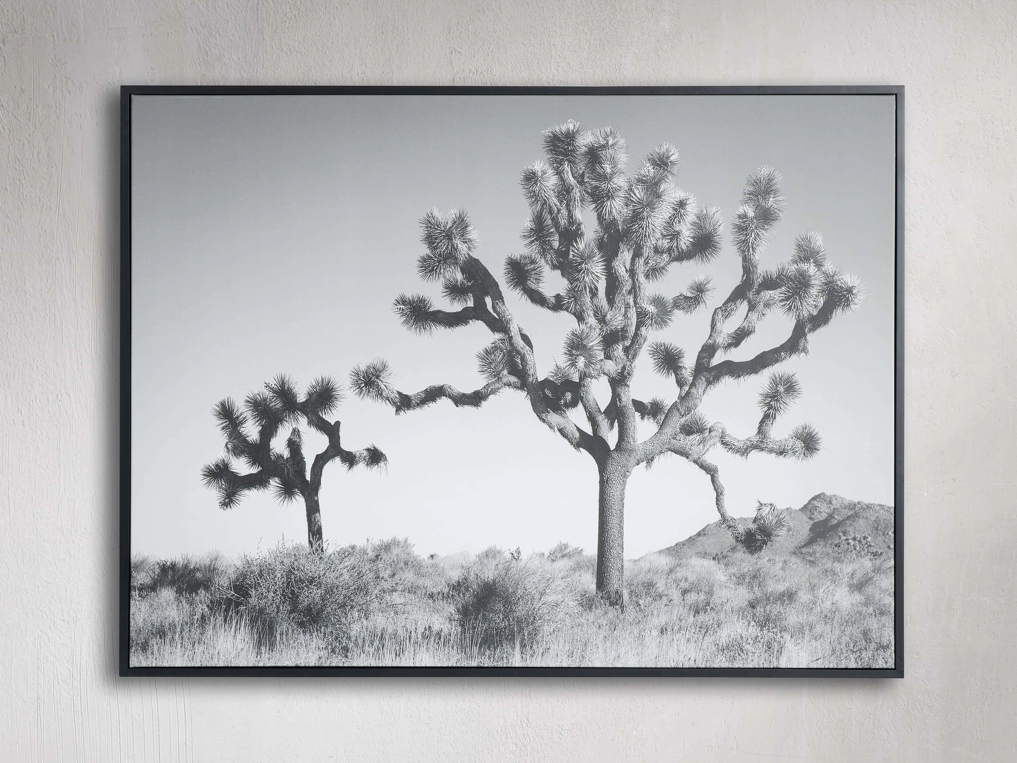 Joshua Tree Duo Framed Printnordic style wall decor