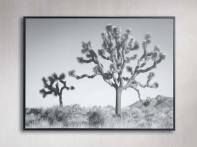 Joshua Tree Duo Framed Printnordic style wall decor