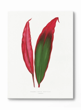 Joyful Plumage, Canvasindoor decorative canvas print