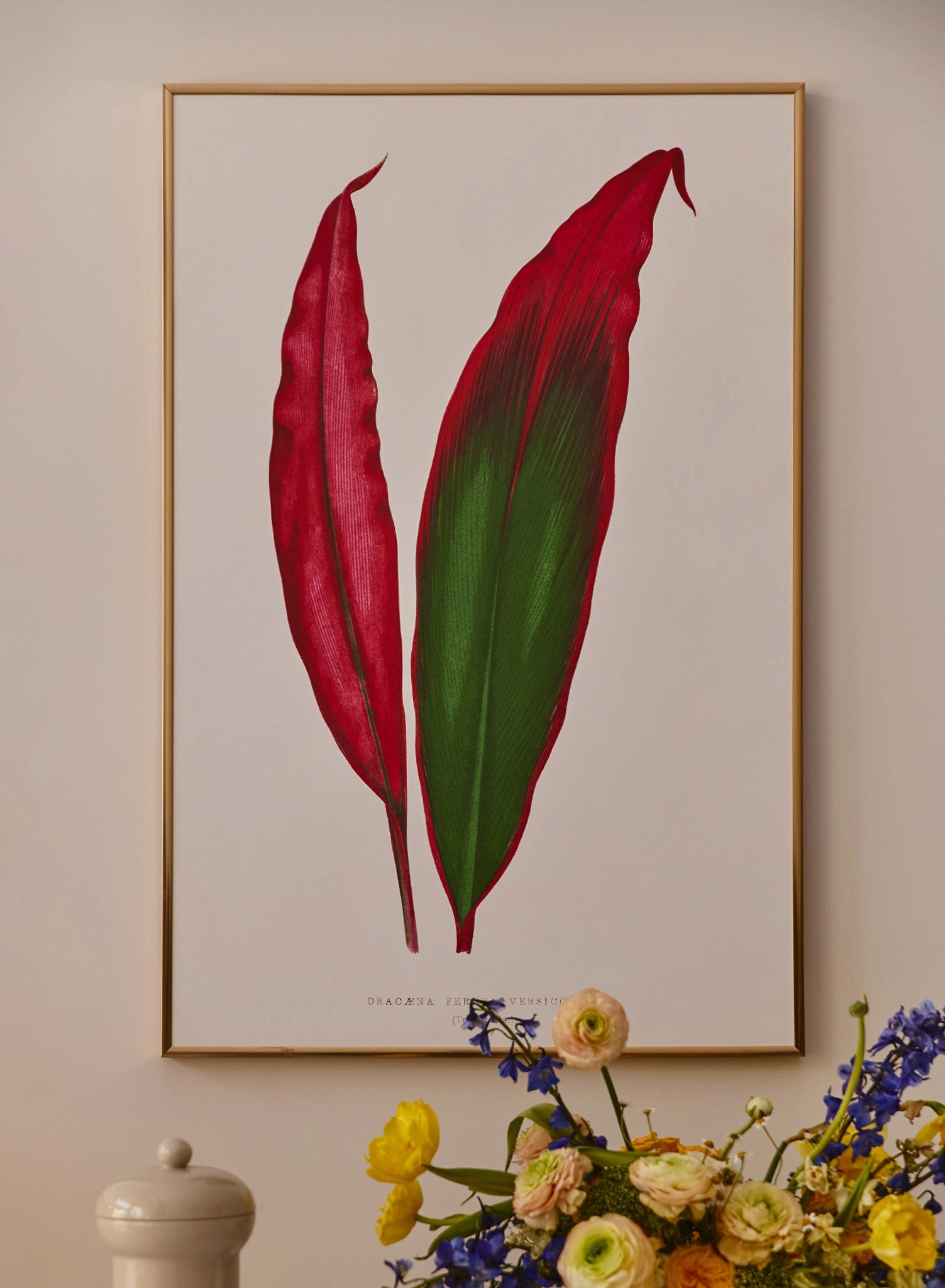 Joyful Plumage, Poster