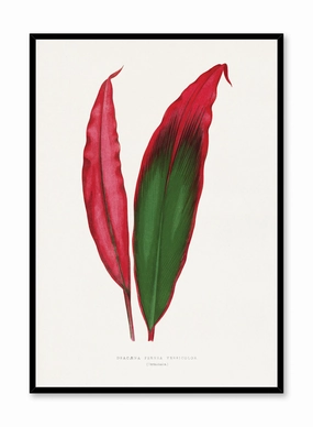 Joyful Plumage, Posterpop culture themed posters