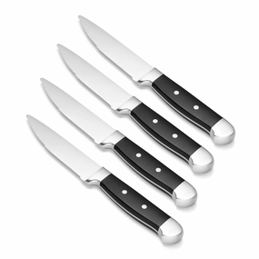 Jumbo Steak Knives Set of 4modern kitchen decor ,kitchen dinner set ,dinnerware 