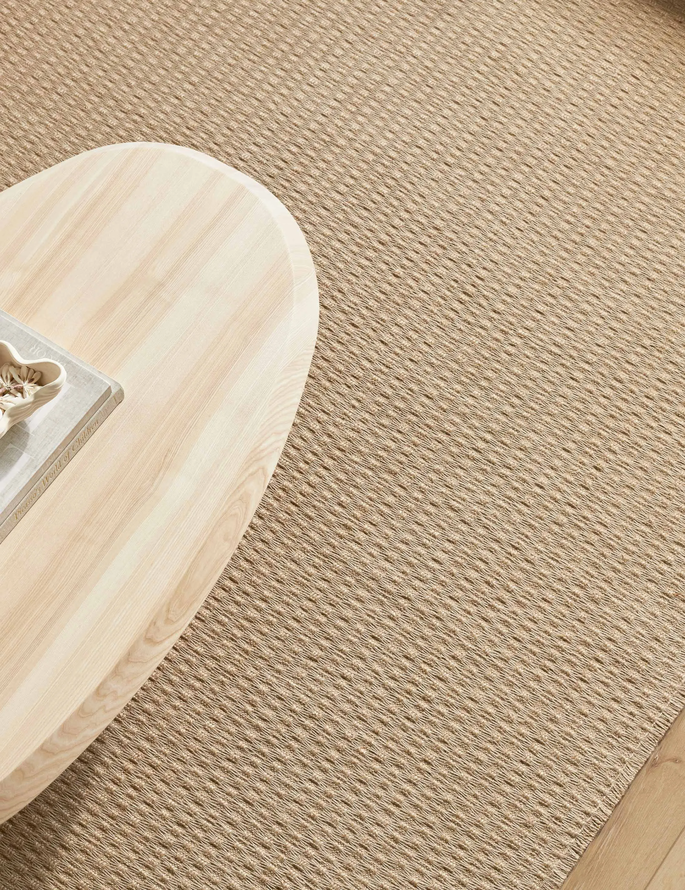 Kimi I Jute Rug by Becki Owens x Surya