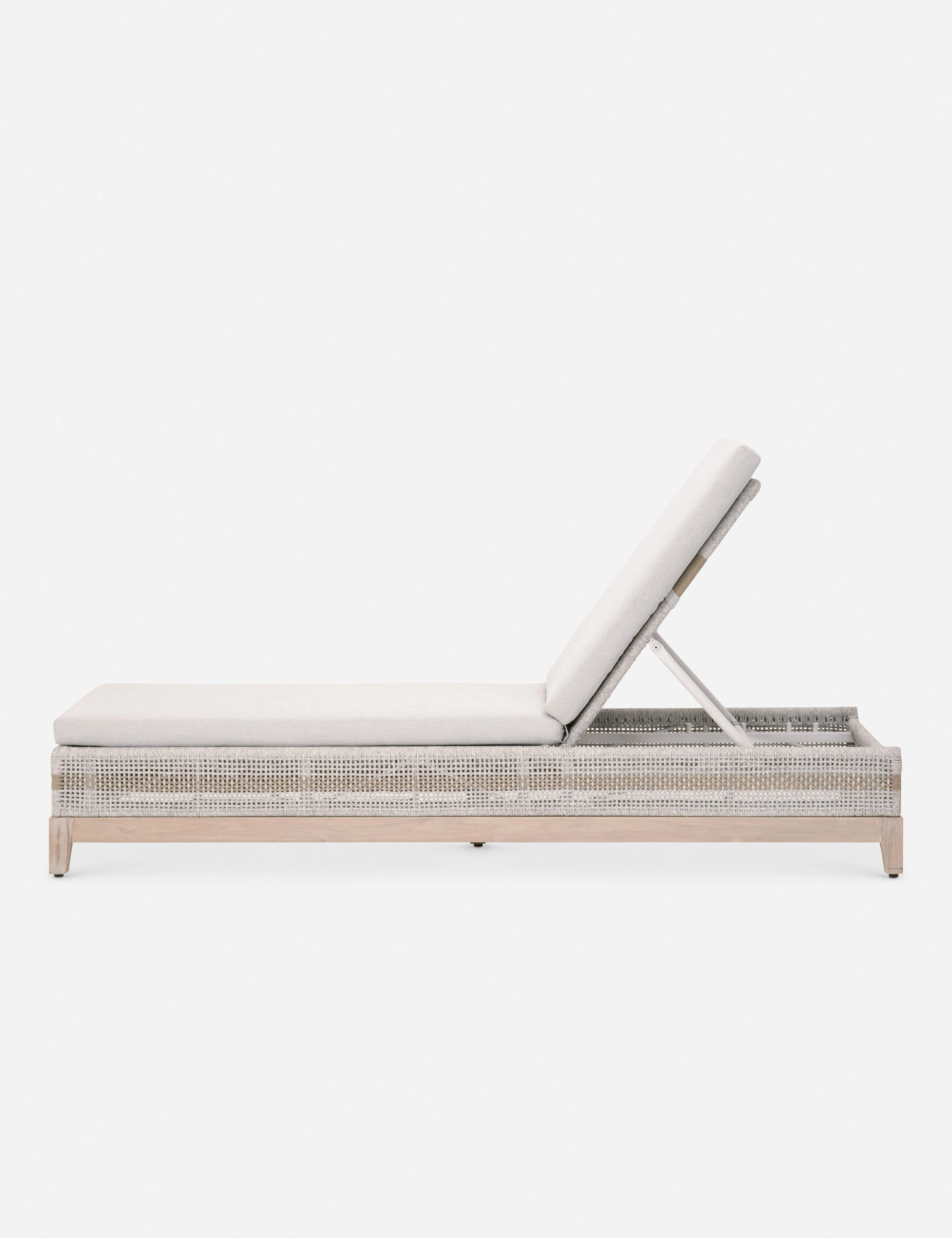 Kinnda Indoor / Outdoor Chaise Lounge