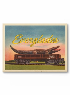 Later Alligator, Everglades, Canvasindoor decorative canvas print