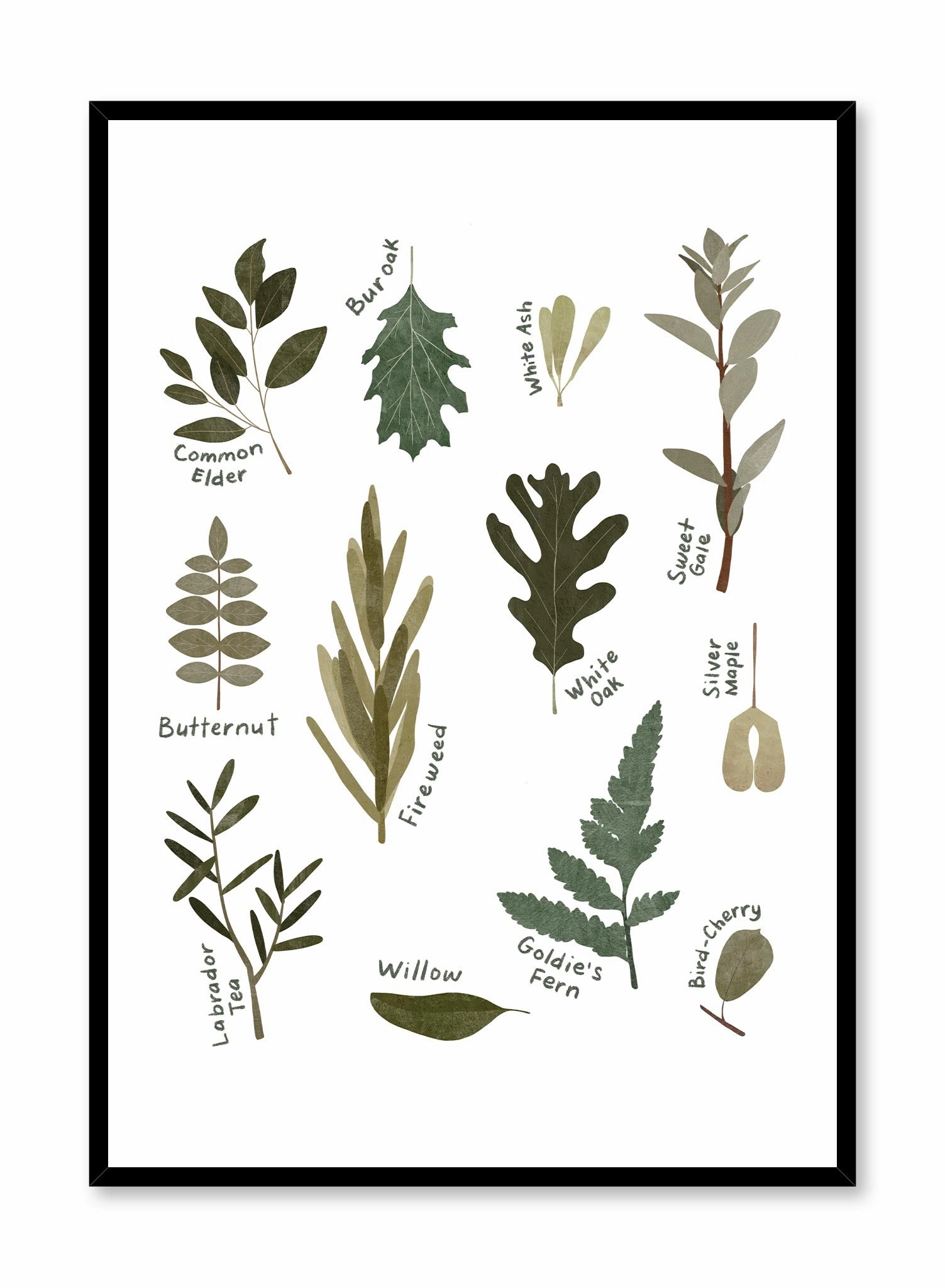 Leaf Encyclopedia, Posterpop culture themed posters