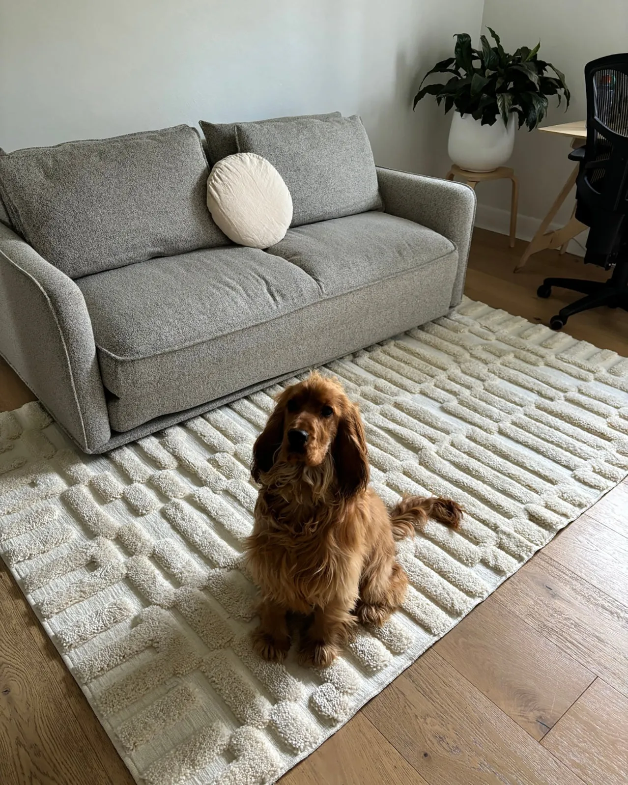 Leneisy Ivory Abstract Rug *NO RETURNS UNLESS FAULTY