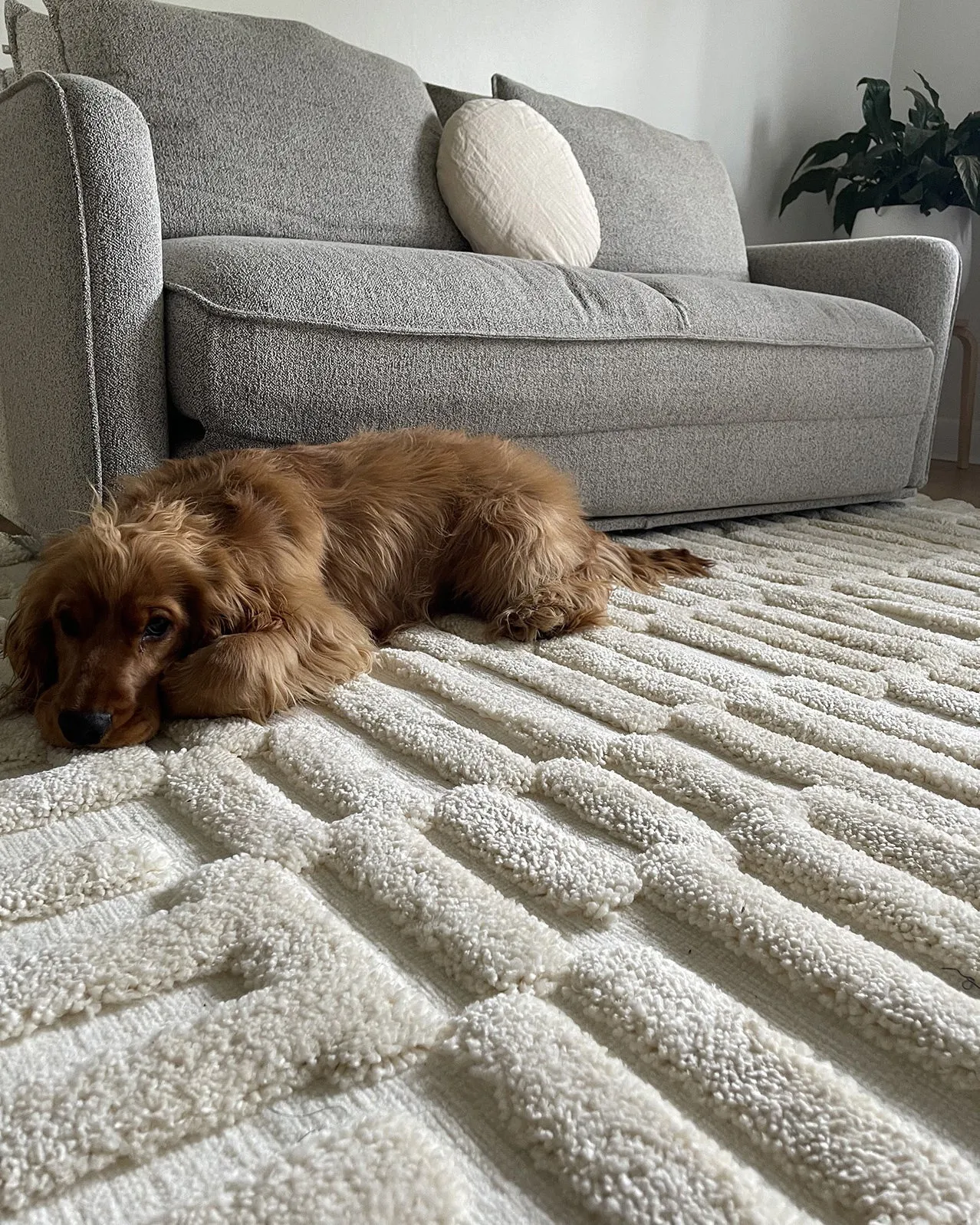 Leneisy Ivory Abstract Rug *NO RETURNS UNLESS FAULTY