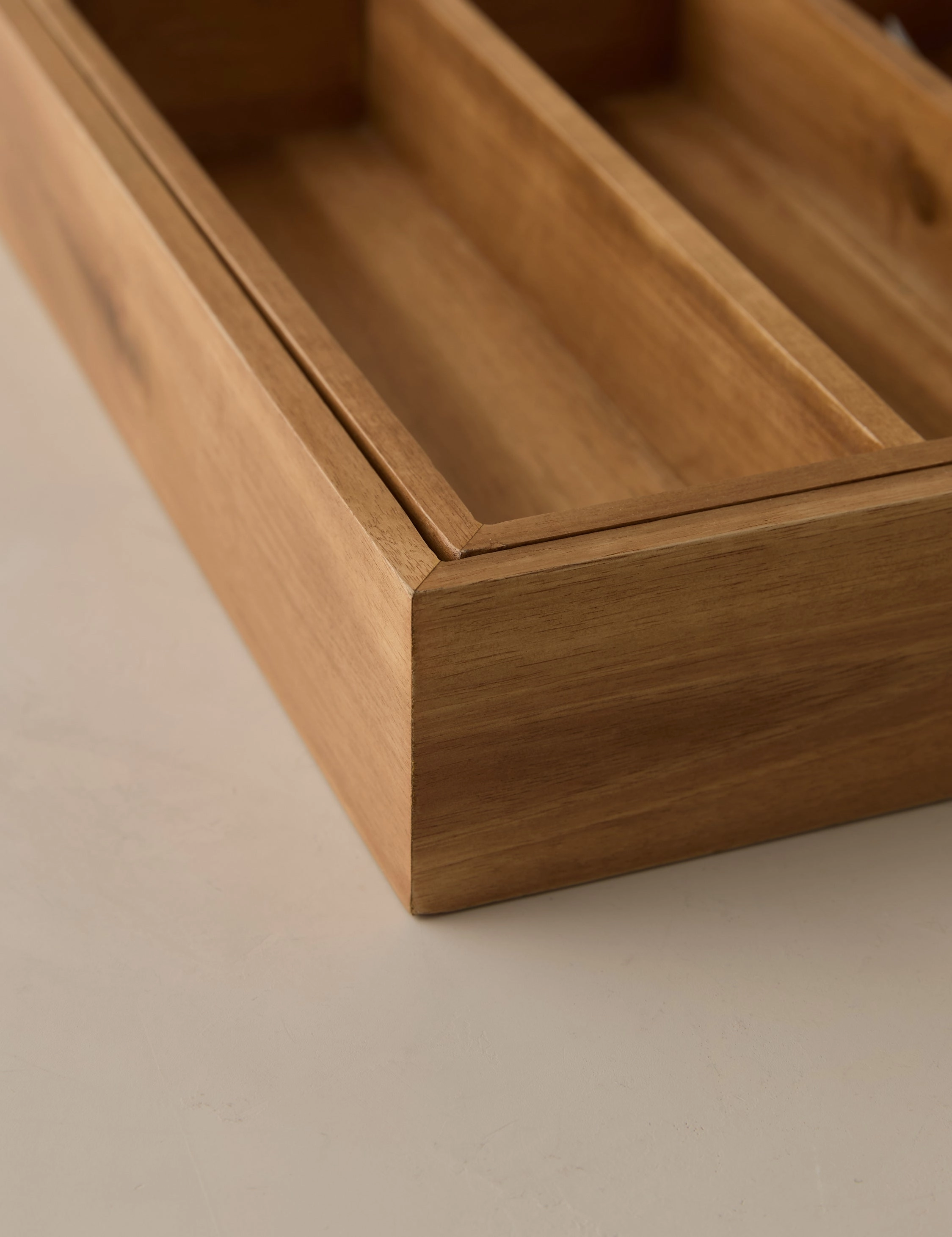 Lenz Expandable Cutlery Tray