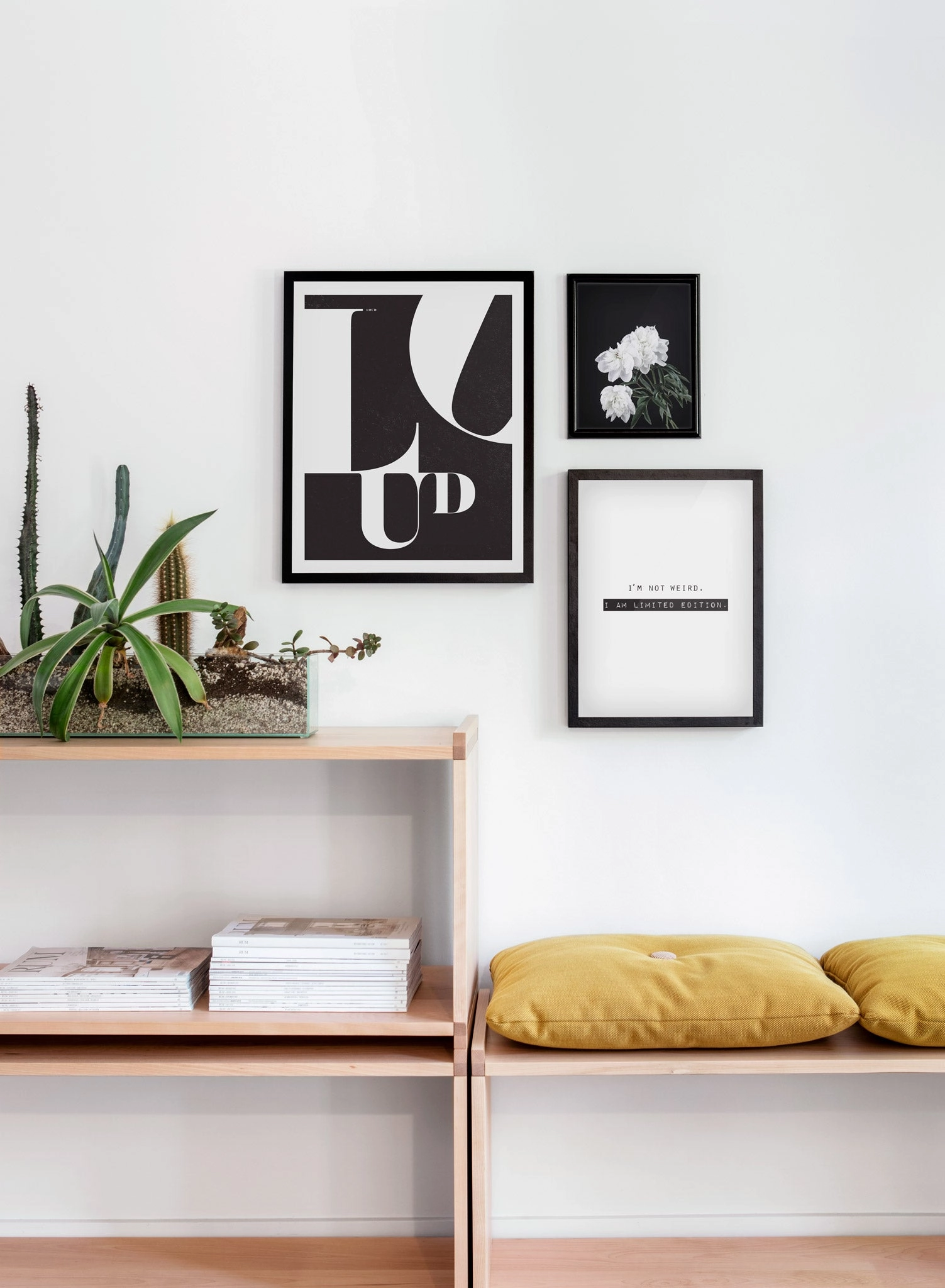 Limited Edition, Poster