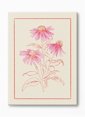 Lovely Coneflower, Canvasindoor decorative canvas print