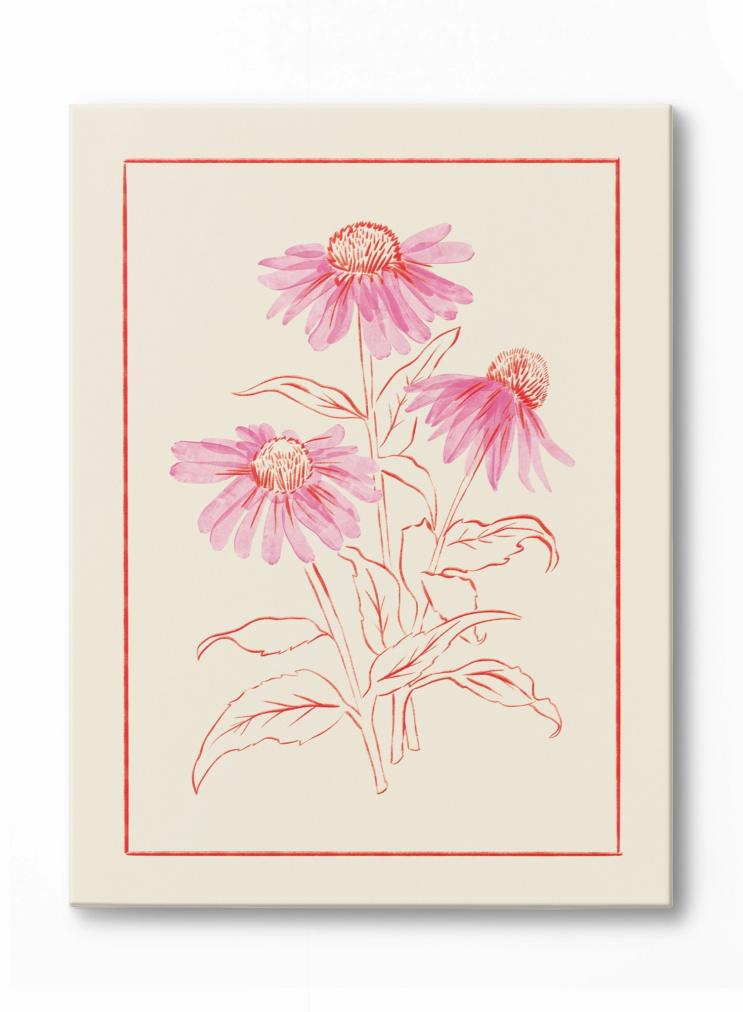 Lovely Coneflower, Canvasindoor decorative canvas print