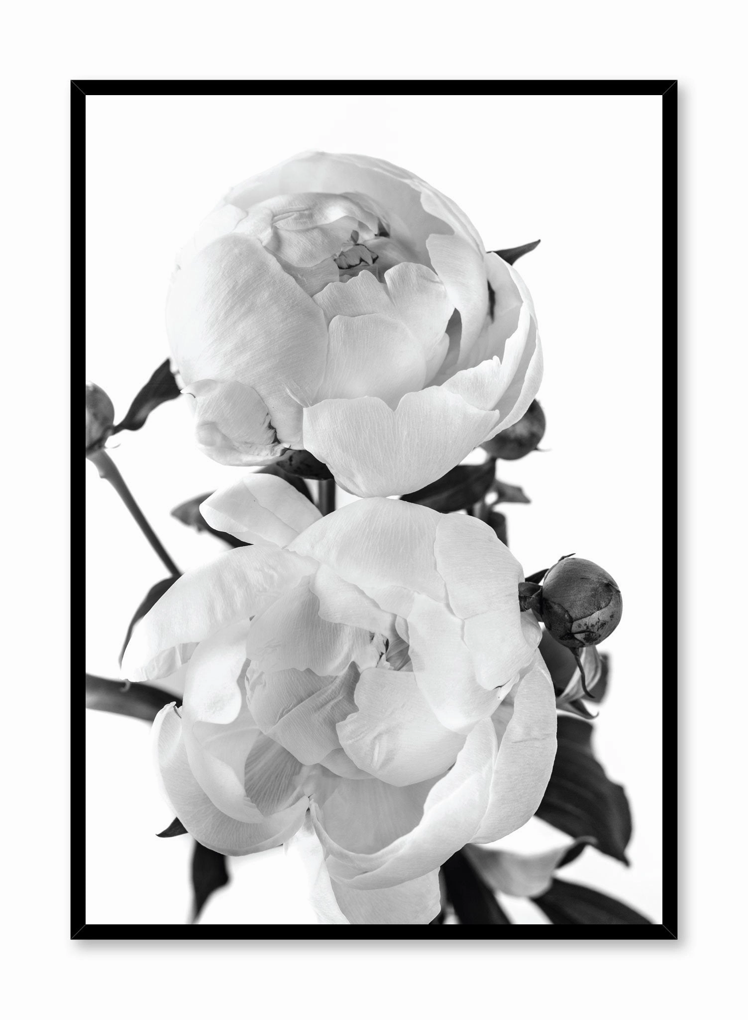 Lovers in Black and White, Posterpop culture themed posters