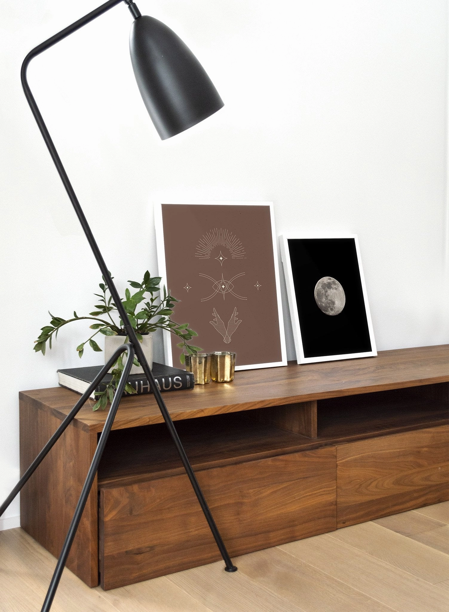 Luna, Poster