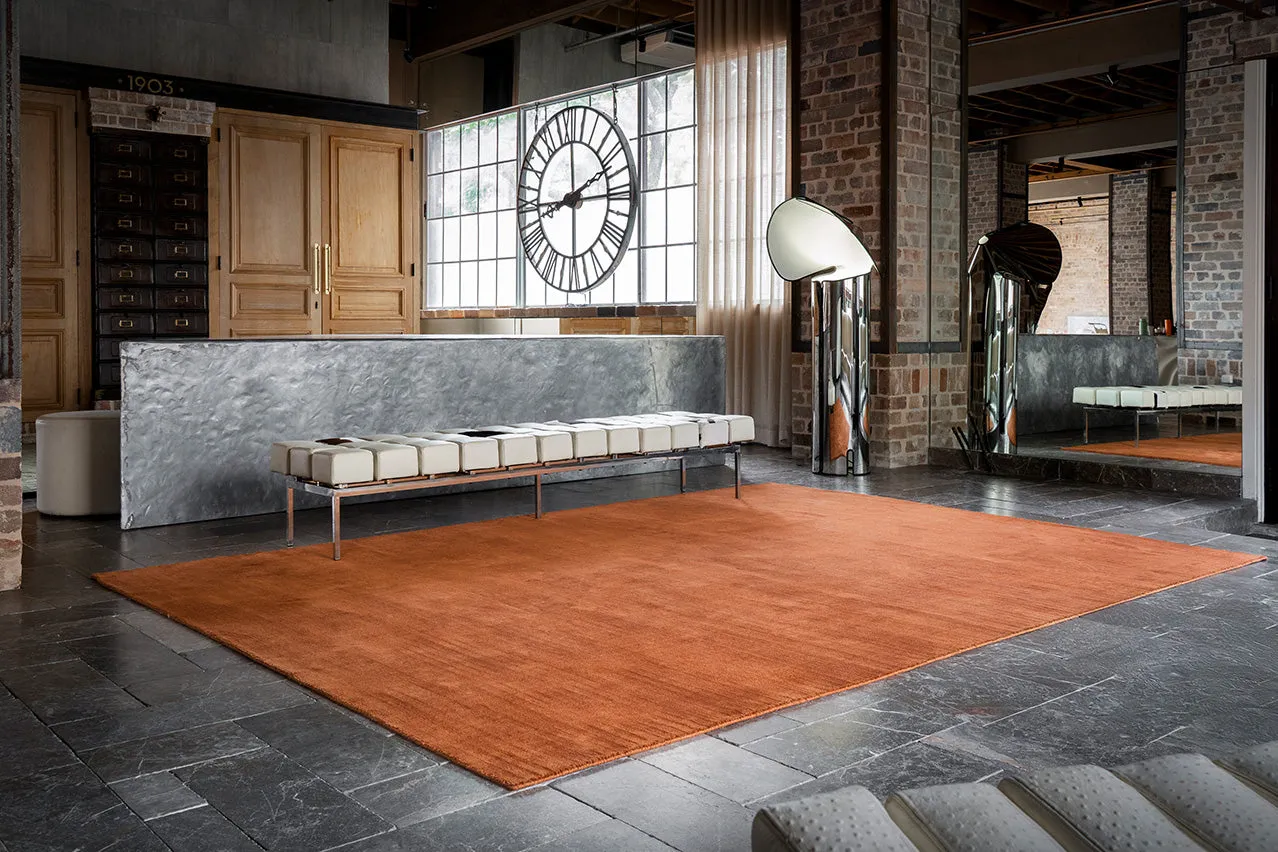 Lupe Terracotta Handwoven PET Rug