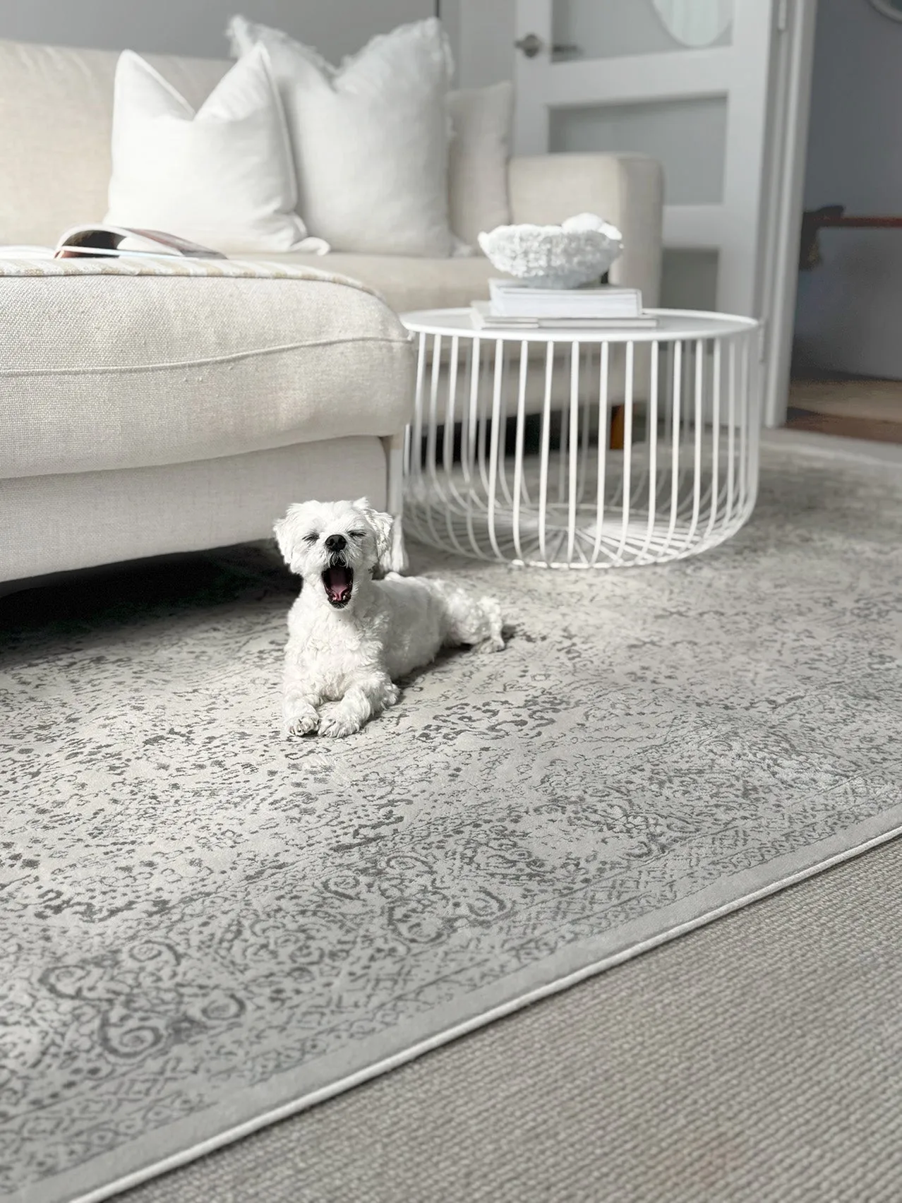 Madison Ivory And Grey Traditional Distressed Rug