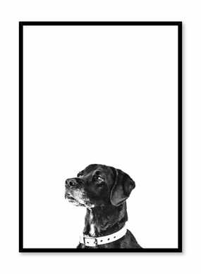 Mans Best Friend, Posterpop culture themed posters