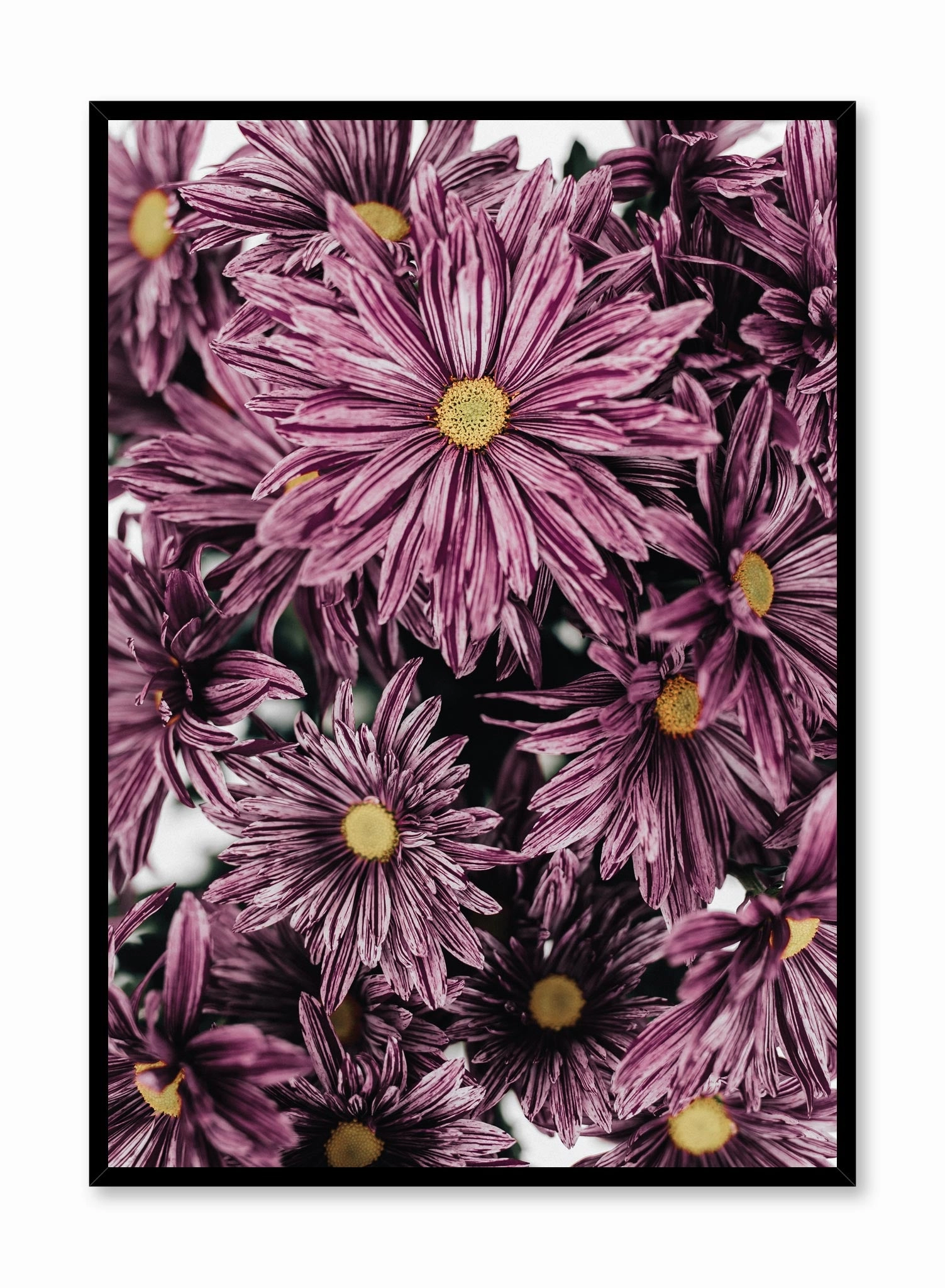 Mauve Blossoms, Posterpop culture themed posters