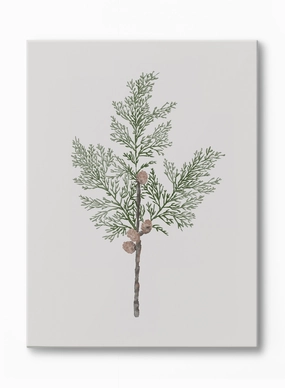 Merry Bough, Canvasindoor decorative canvas print
