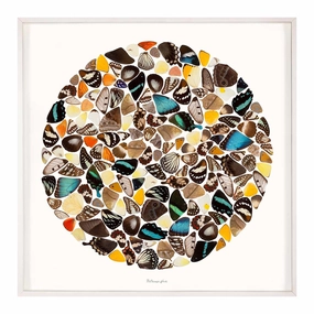 Metamorphicnordic style wall decor